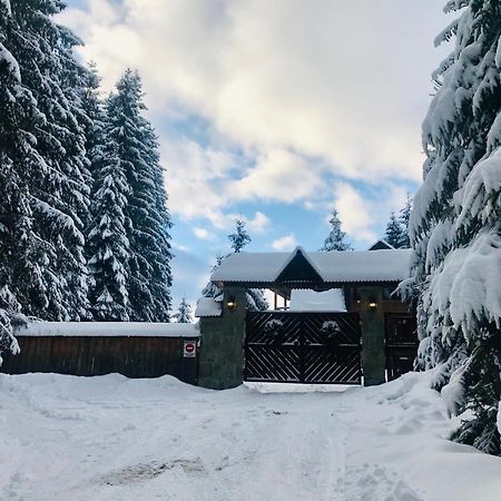 Cottage Kalinka Bukovel Ngoại thất bức ảnh