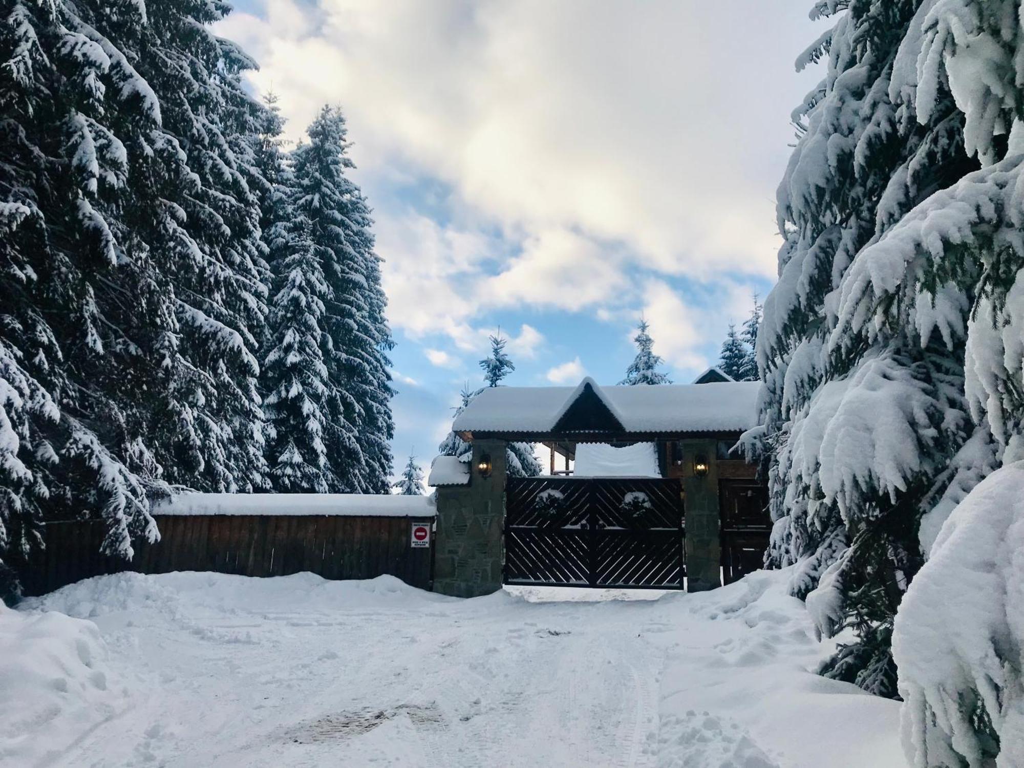 Cottage Kalinka Bukovel Ngoại thất bức ảnh