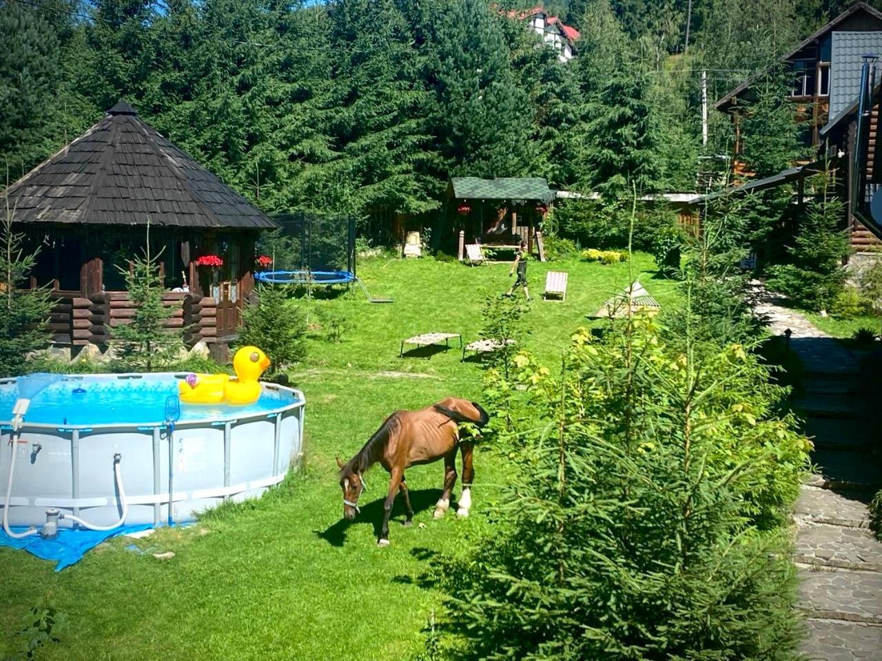 Cottage Kalinka Bukovel Ngoại thất bức ảnh